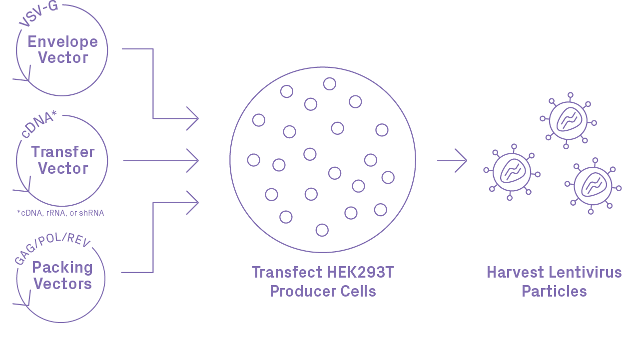 FragmentGENE