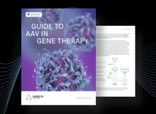 AAV in Gene Therapy