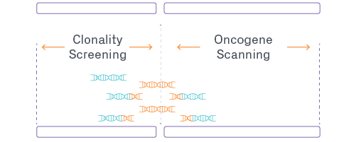 Antibody-Icon