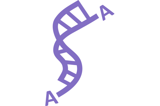 Amplicon Sequencing